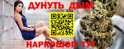 сатива Сланцы