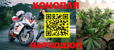 сатива Сланцы