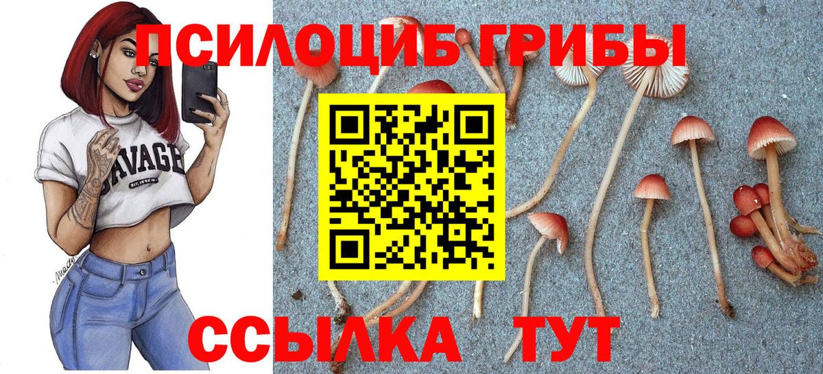 Чебоксары  Галлюциногенные грибы мицелий  Вход с VPN 