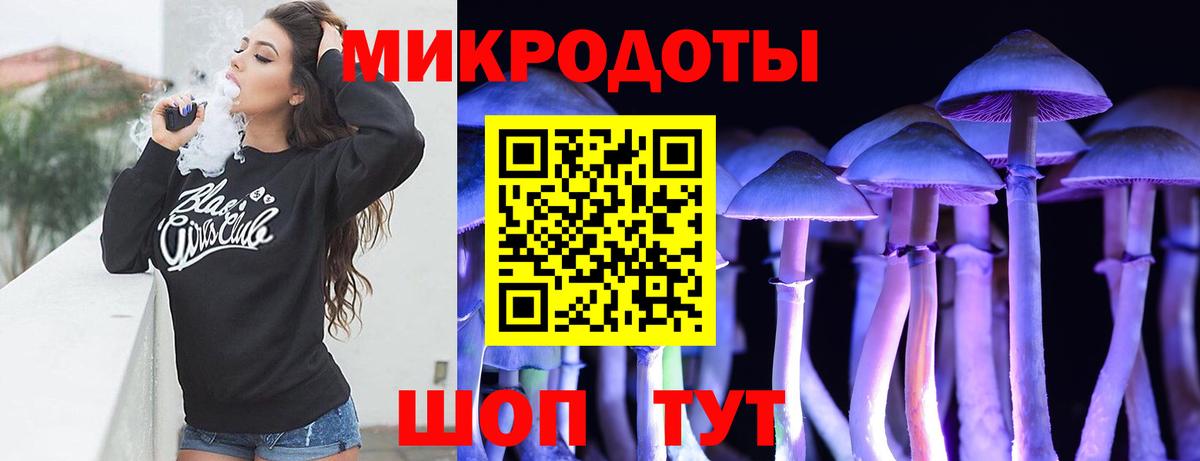 Галлюциногенные грибы ЛСД  Чебоксары  Псилоцибиновые грибы Psilocybine cubensis 