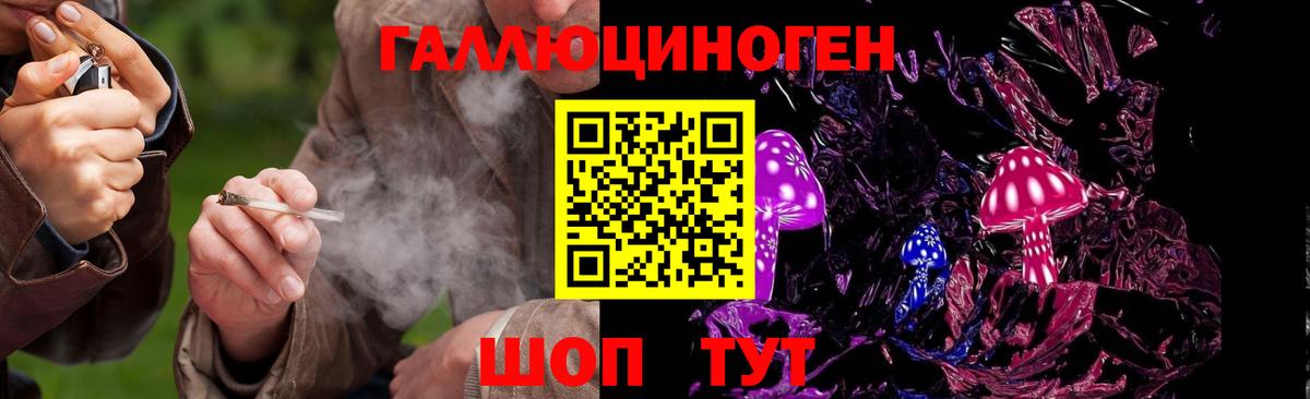 Псилоцибиновые грибы мухоморы Чебоксары